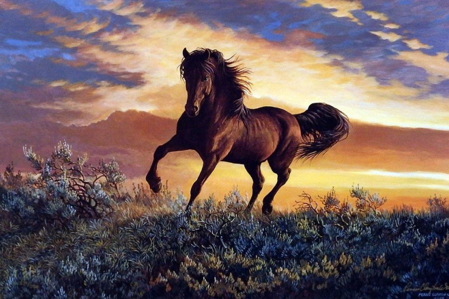 Mơ thấy ngựa đánh con gì ? Ngựa trắng, ngựa đen, ngựa bay